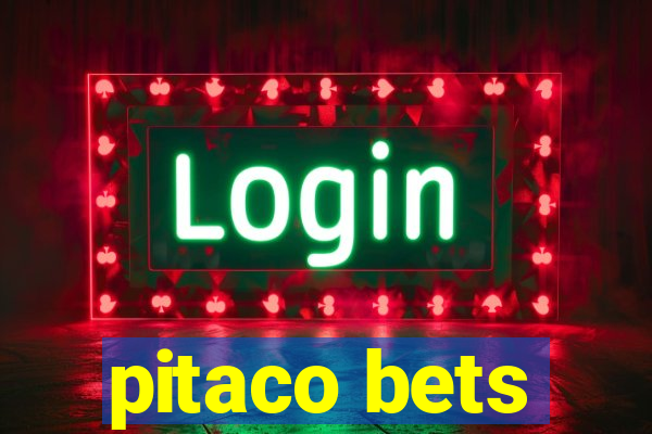 pitaco bets